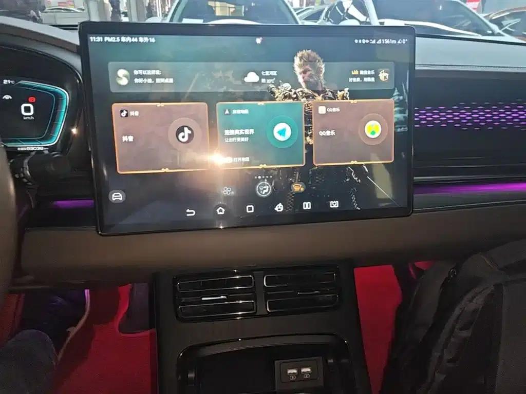 2020 Han DM 4WD Performance Premium Edition — миниатюра 13
