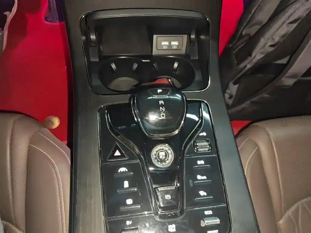 2020 Han DM 4WD Performance Premium Edition — миниатюра 14