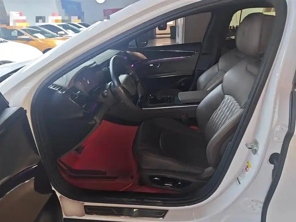 2020 Han DM 4WD Performance Premium Edition — миниатюра 16