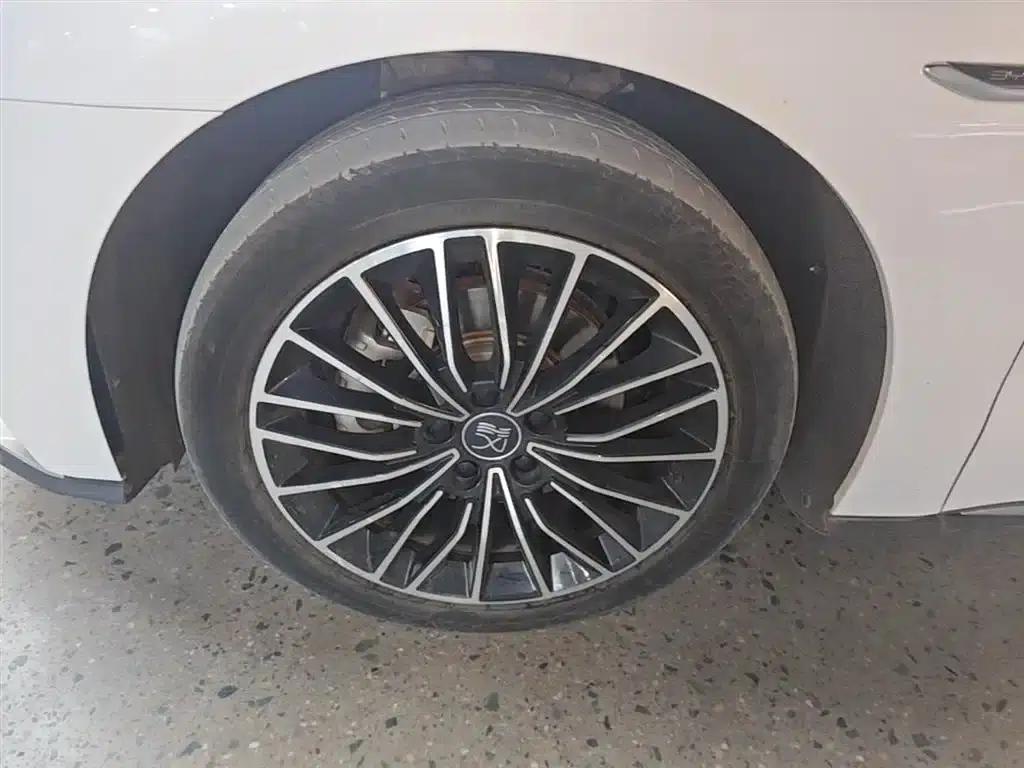 2020 Han DM 4WD Performance Premium Edition — миниатюра 23