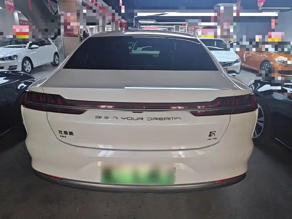 2020 Han DM 4WD Performance Premium Edition — миниатюра 6