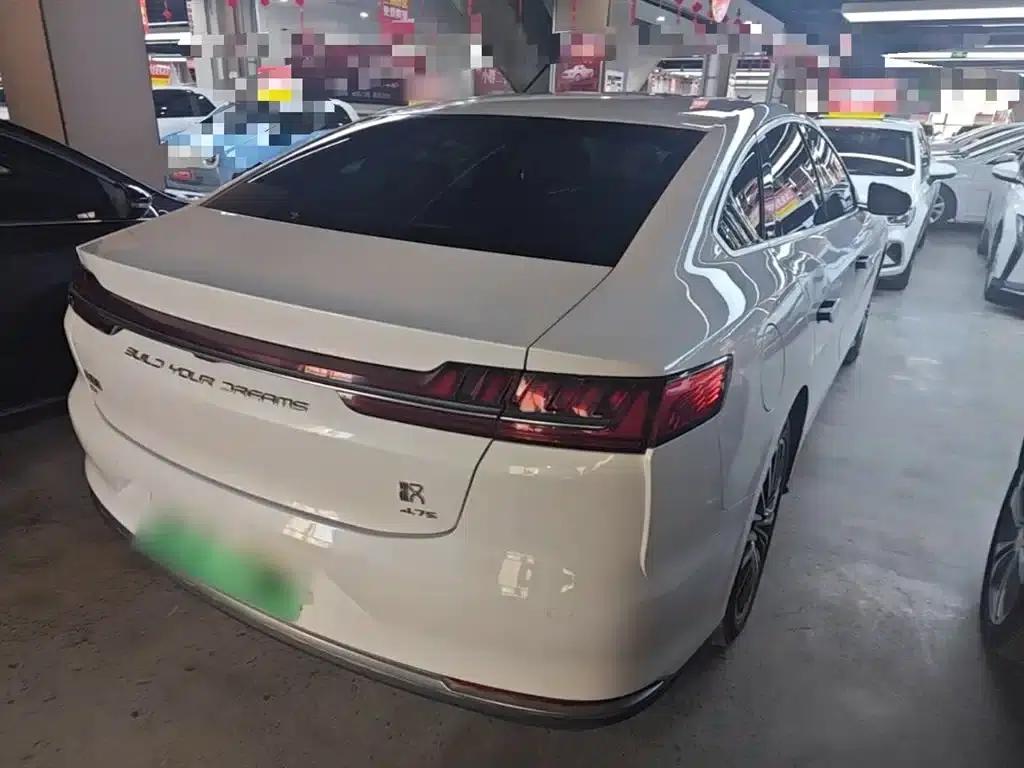 2020 Han DM 4WD Performance Premium Edition — миниатюра 7