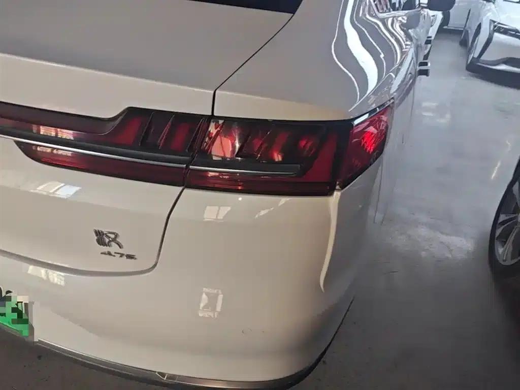 2020 Han DM 4WD Performance Premium Edition — миниатюра 8