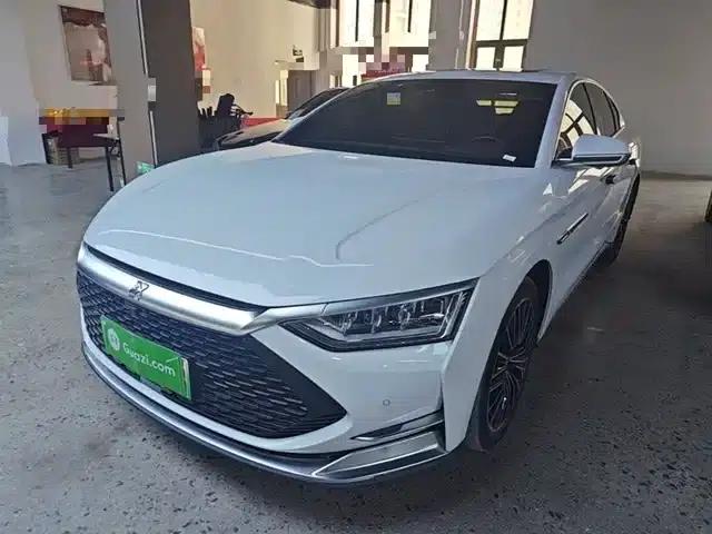 2020 Han DM 4WD Performance Premium Edition