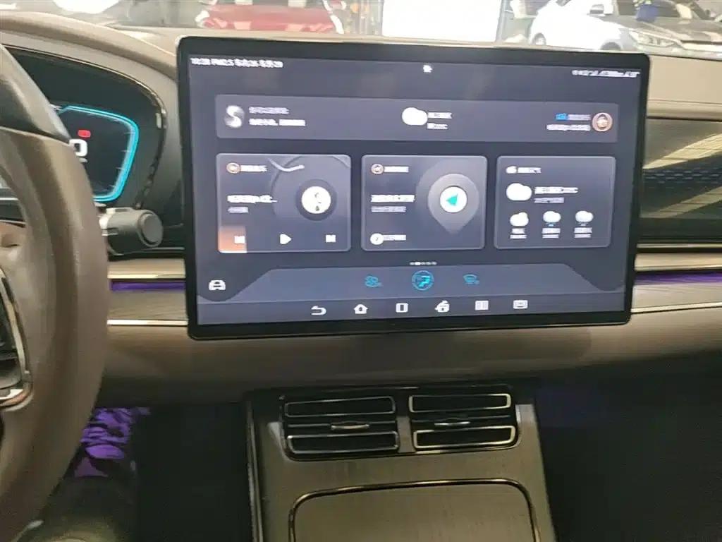 2020 Han DM 4WD Performance Premium Edition — миниатюра 13
