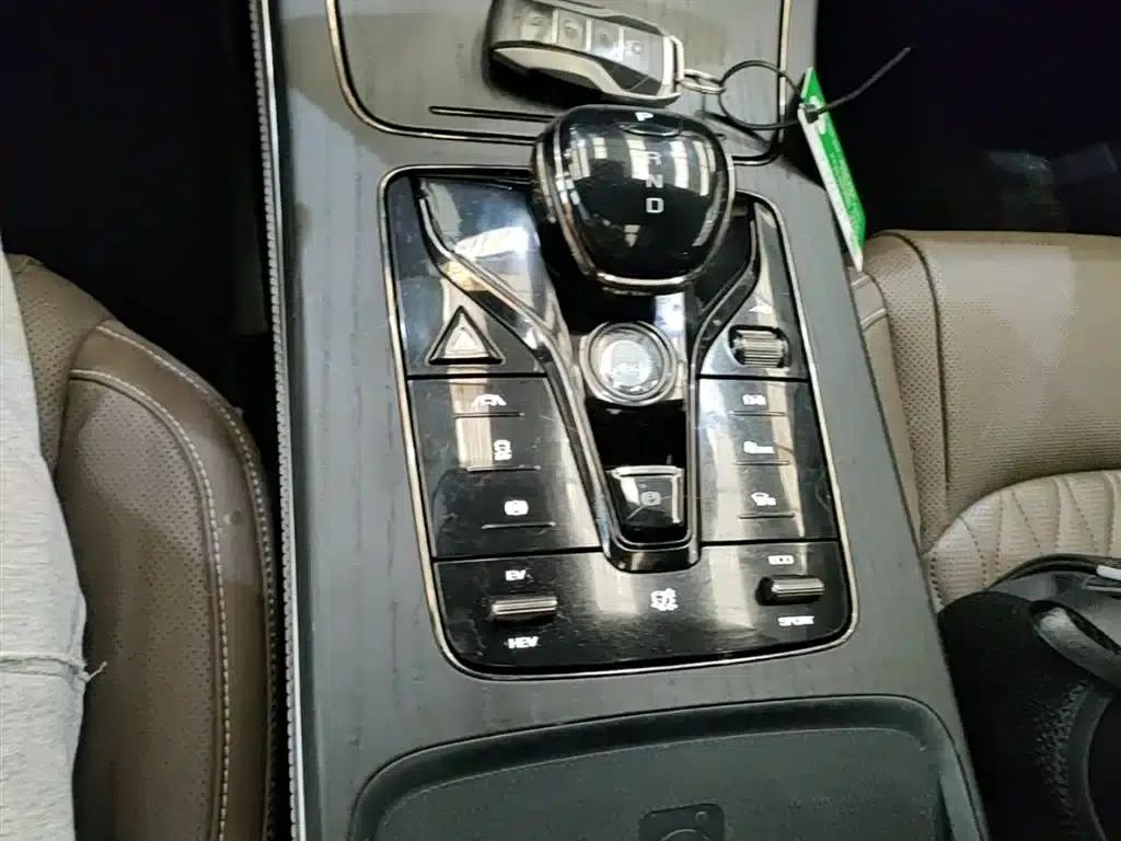 2020 Han DM 4WD Performance Premium Edition — миниатюра 14