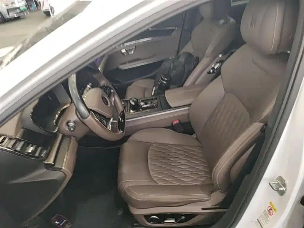 2020 Han DM 4WD Performance Premium Edition — миниатюра 15