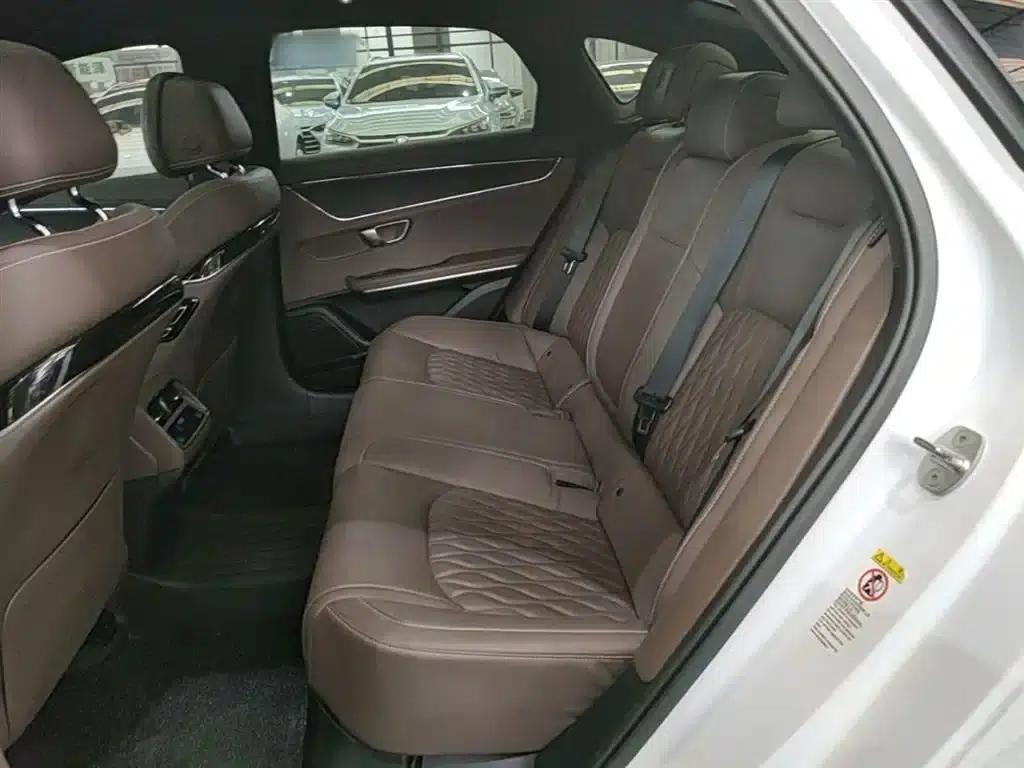 2020 Han DM 4WD Performance Premium Edition — миниатюра 17
