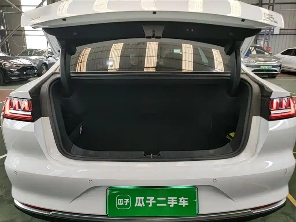 2020 Han DM 4WD Performance Premium Edition — миниатюра 19
