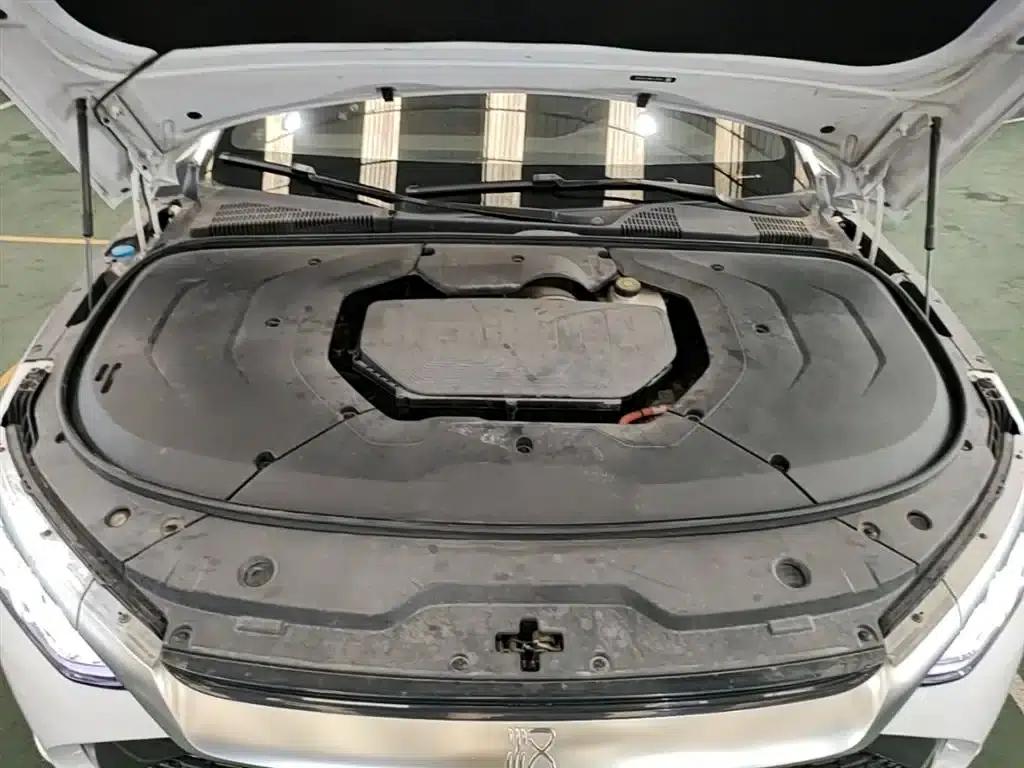 2020 Han DM 4WD Performance Premium Edition — миниатюра 20