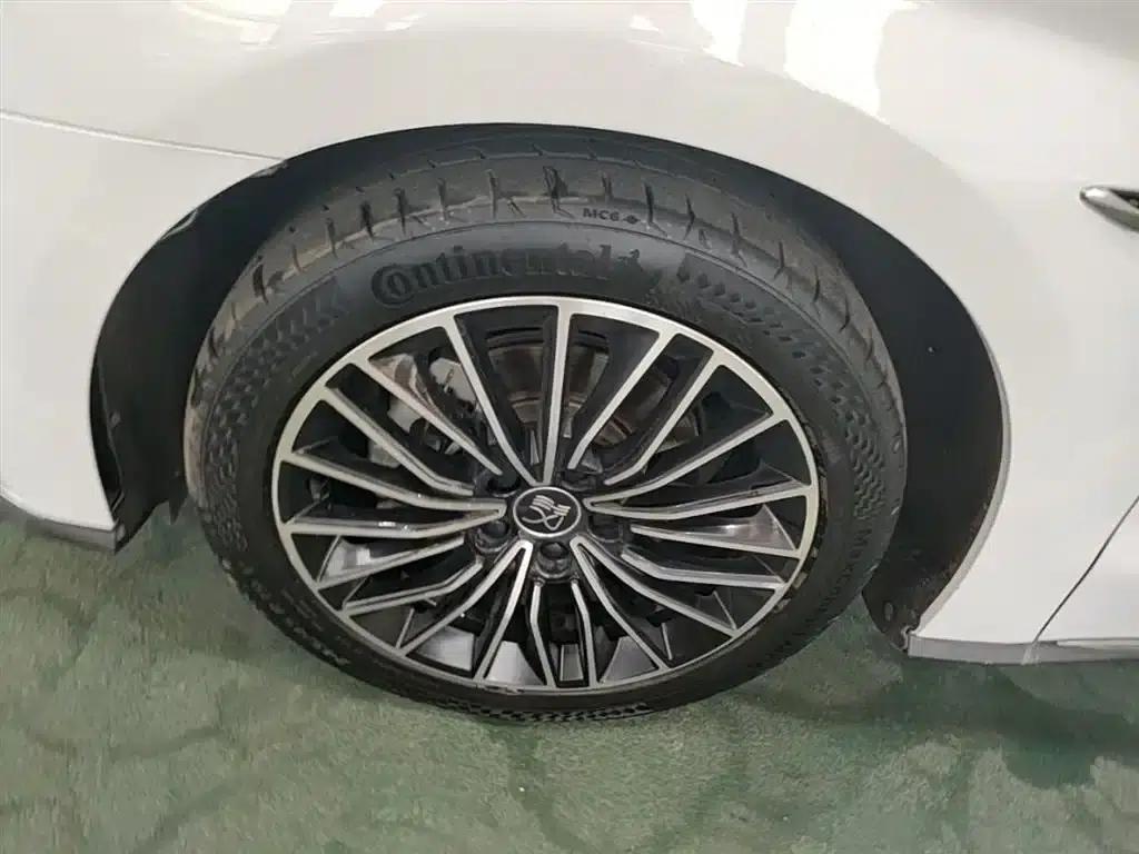 2020 Han DM 4WD Performance Premium Edition — миниатюра 23