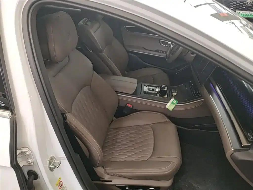 2020 Han DM 4WD Performance Premium Edition — миниатюра 25