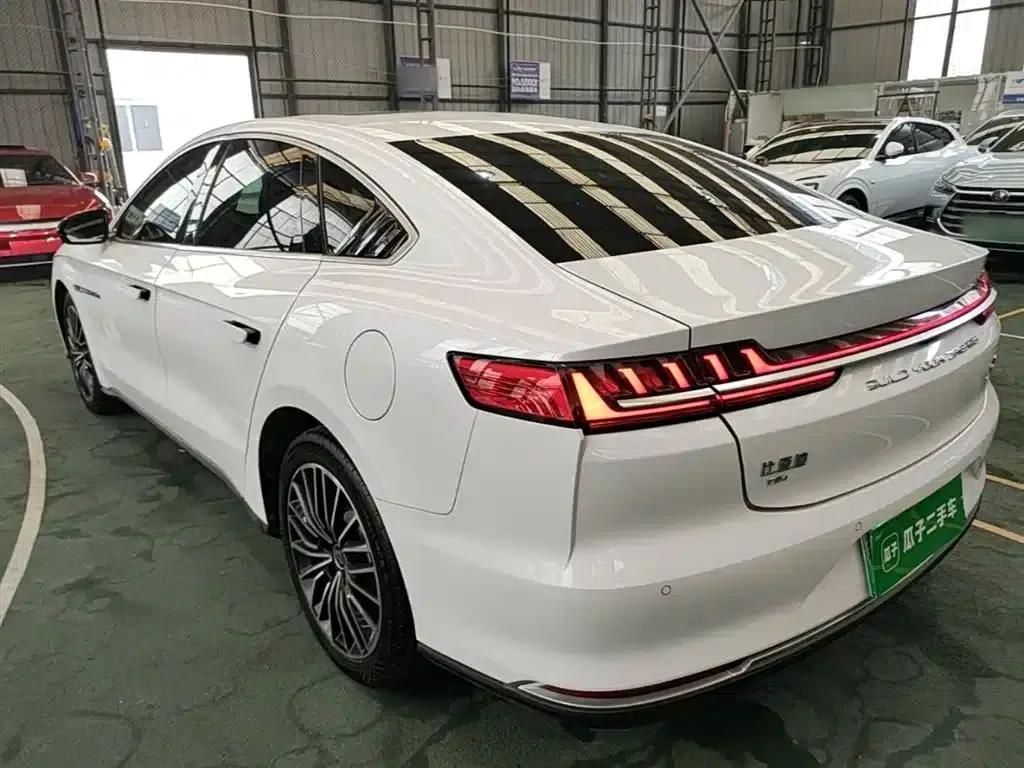 2020 Han DM 4WD Performance Premium Edition — миниатюра 5