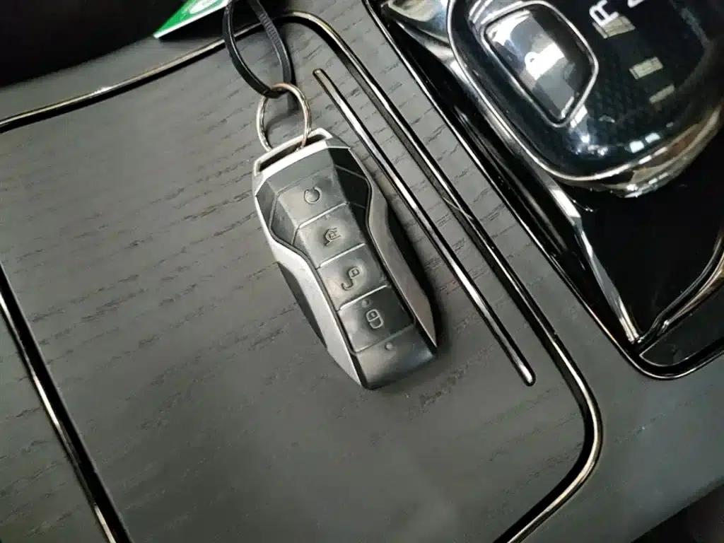 2020 Han DM 4WD Performance Premium Edition — миниатюра 9