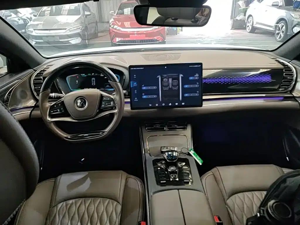 2020 Han DM 4WD Performance Premium Edition — миниатюра 10