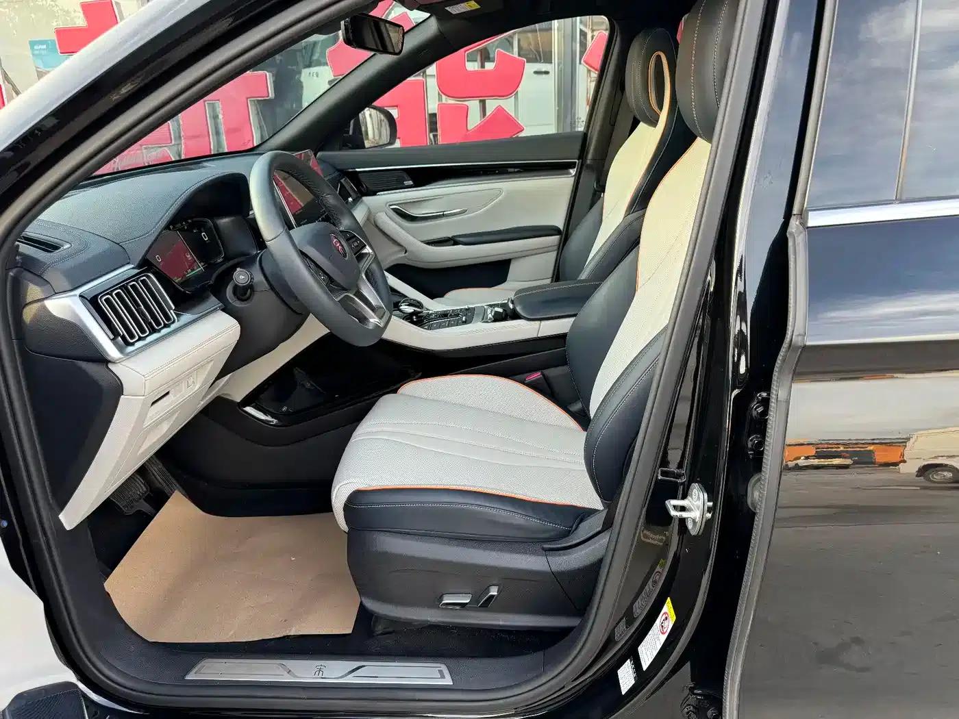 Song PLUS New Energy 2021 EV Flagship Edition — миниатюра 6