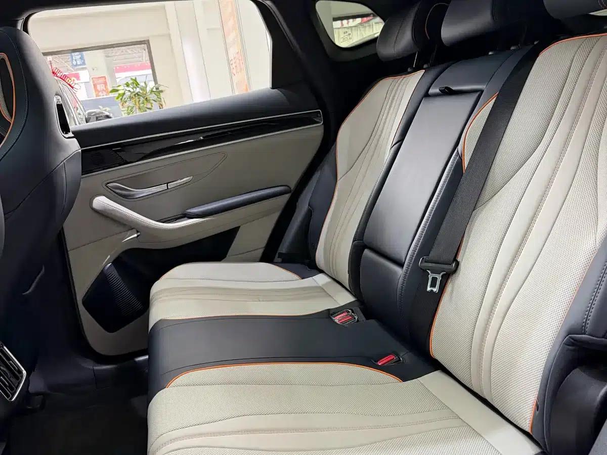 Song PLUS New Energy 2023 Champion Edition DM-i 110KM Flagship PLUS — миниатюра 11