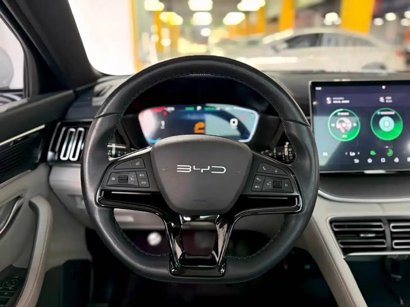 Song PLUS New Energy 2024 Glory Edition EV 520km Luxury Model — миниатюра 15