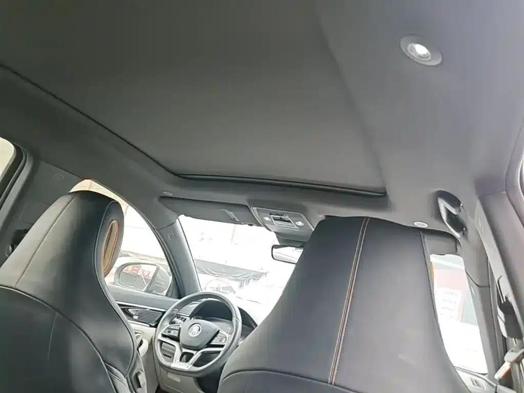 Song PLUS New Energy 2021 DM-i 110KM Flagship PLUS — миниатюра 18