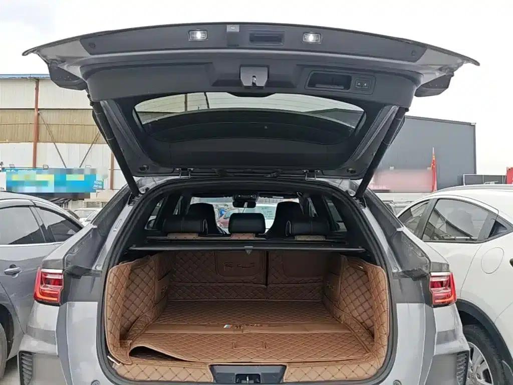 Song PLUS New Energy 2021 DM-i 110KM Flagship PLUS — миниатюра 19