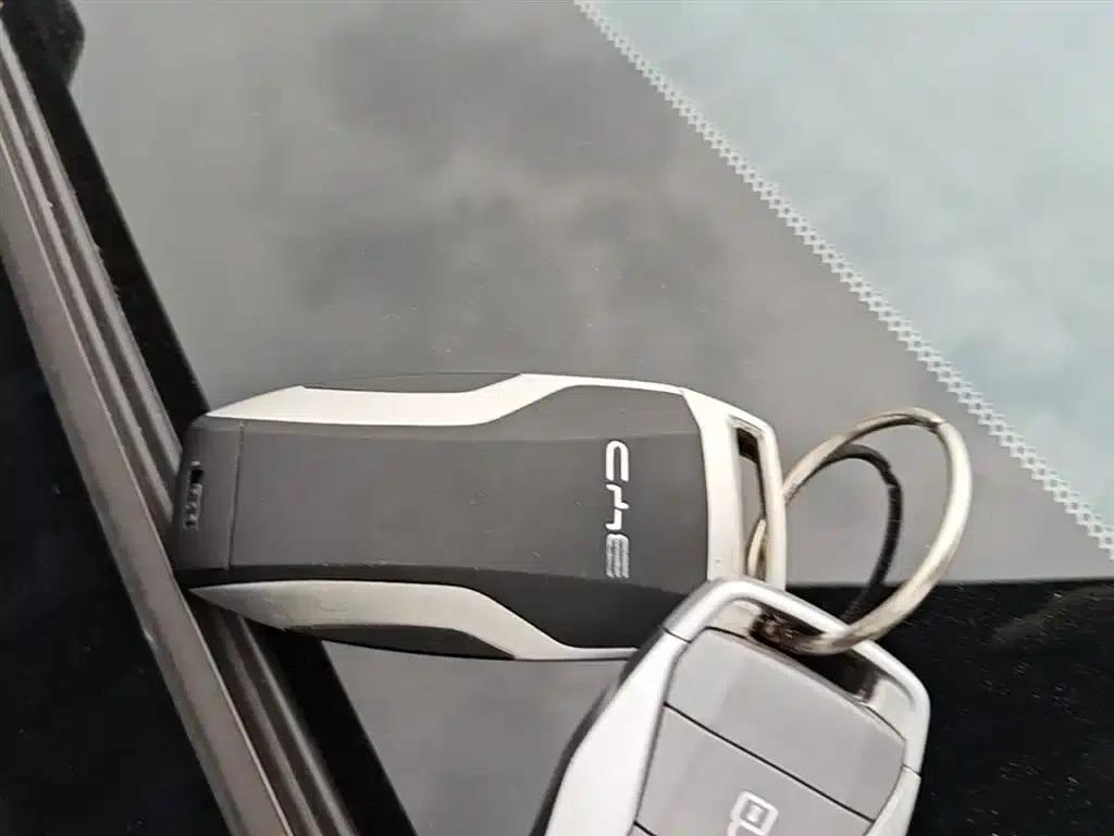 Song PLUS New Energy 2021 DM-i 110KM Flagship PLUS — миниатюра 9