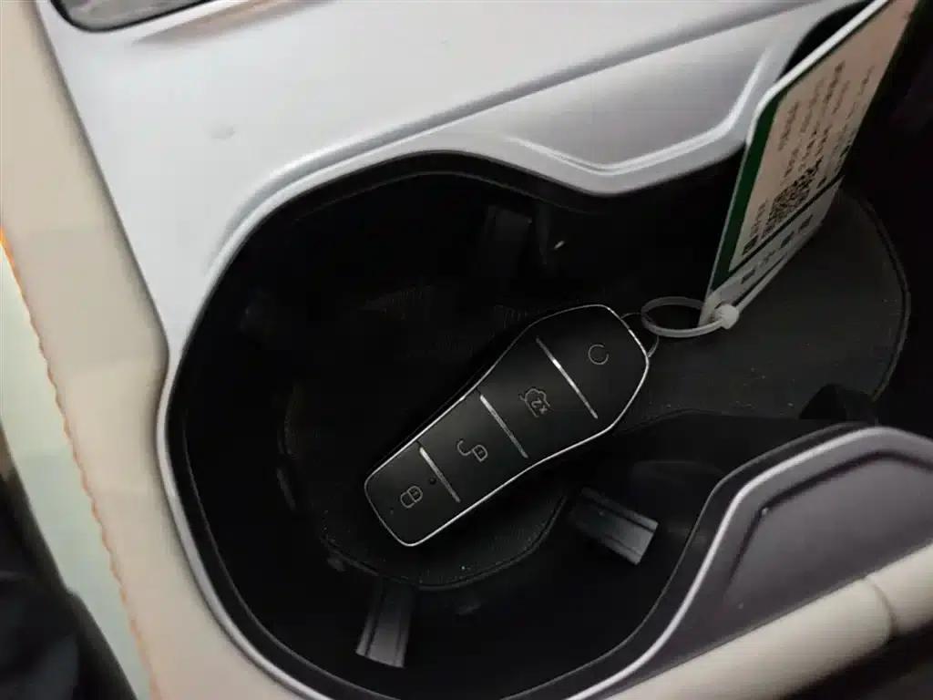 Song PLUS New Energy 2024 Glory Edition EV 520km Luxury Model — миниатюра 9