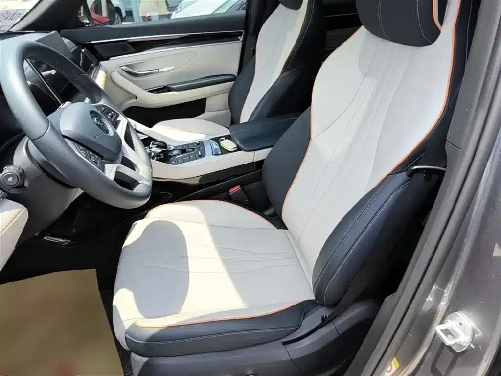 Song PLUS New Energy 2021 EV Premium Edition — миниатюра 15
