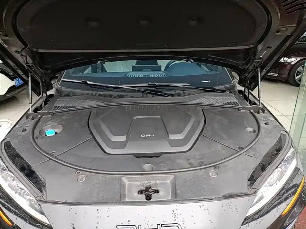 Song PLUS New Energy 2024 Glory Edition DM-i 150km Flagship PLUS — миниатюра 20