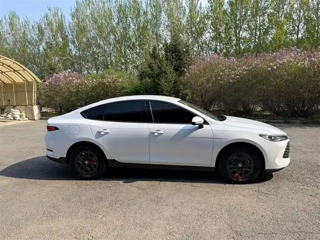 Qin PLUS 2025 DM-i Intelligent Driving Edition 55KM Leading Model — миниатюра 3