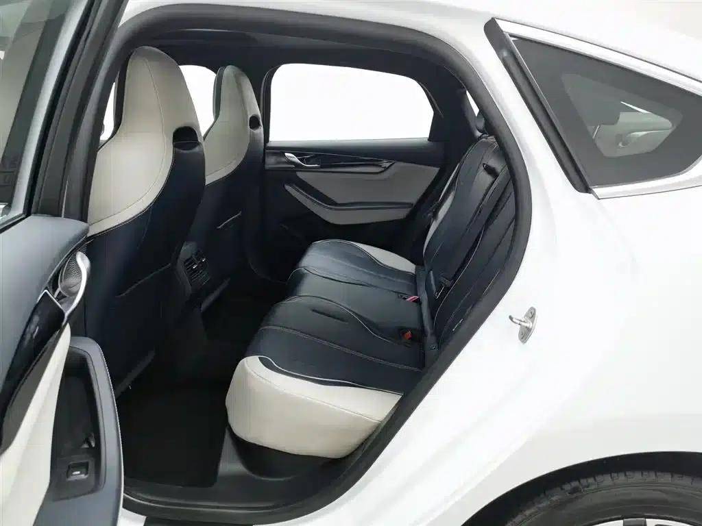 Qin PLUS 2021 EV 500KM Luxury Edition — миниатюра 15