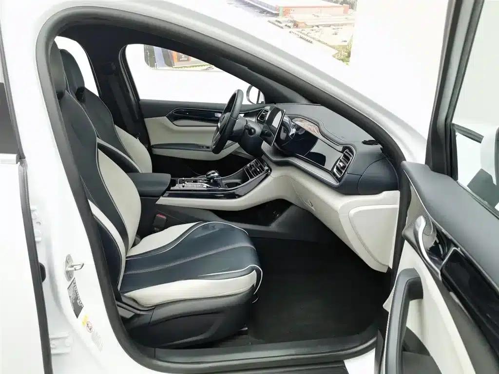 Qin PLUS 2021 EV 500KM Luxury Edition — миниатюра 23