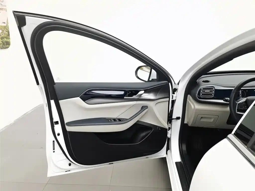 Qin PLUS 2021 EV 500KM Luxury Edition — миниатюра 8