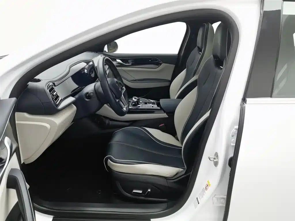 Qin PLUS 2021 EV 500KM Luxury Edition — миниатюра 10