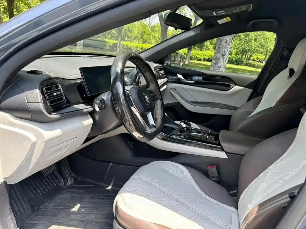 Qin PLUS 2024 Glory Edition DM-i 55KM Leading Model — миниатюра 6
