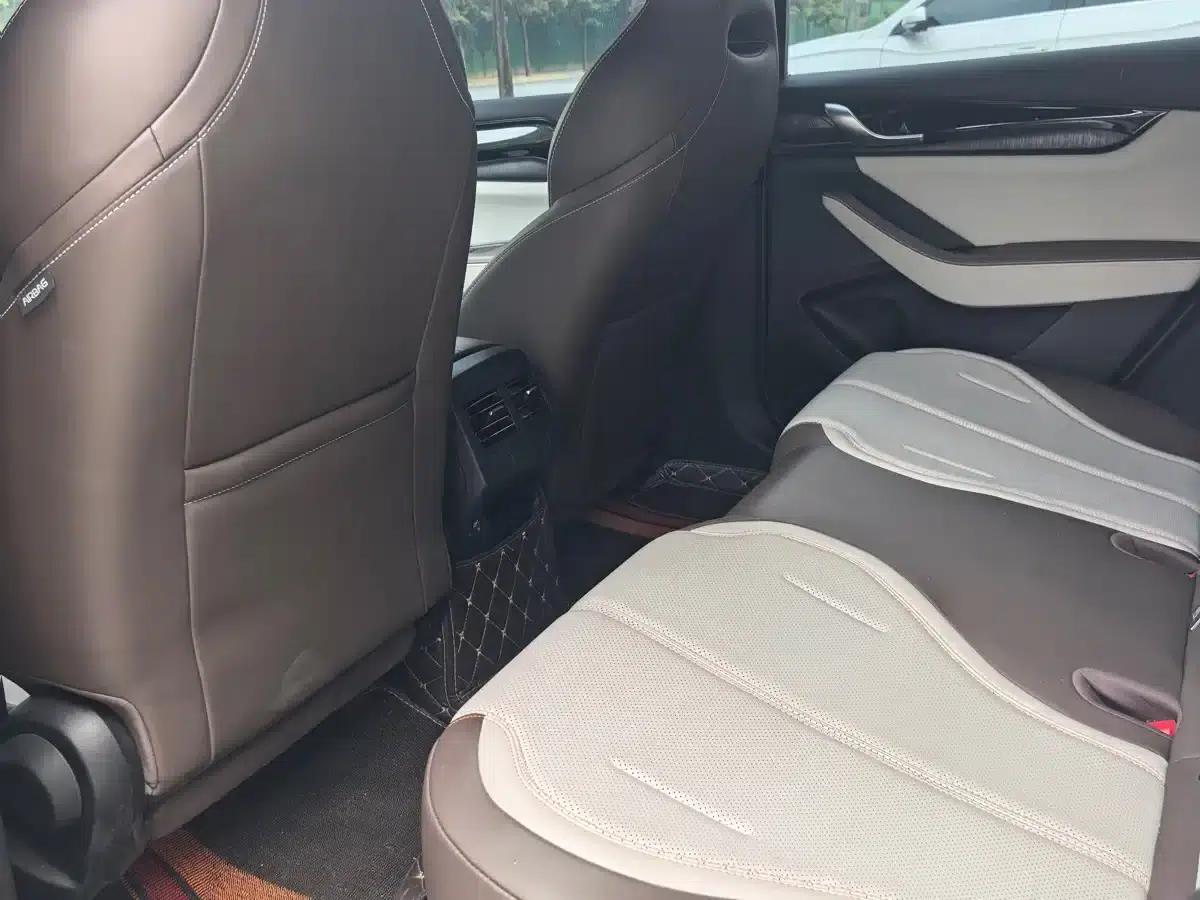 Qin PLUS 2024 Glory Edition DM-i 55KM Leading Model — миниатюра 5