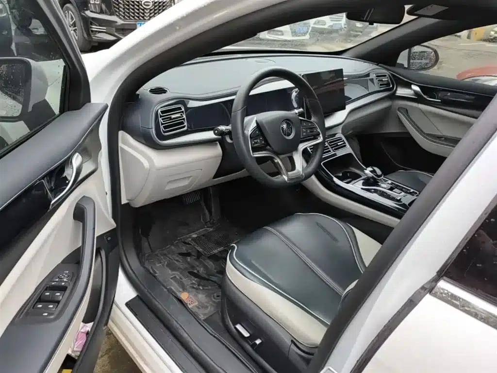 Qin PLUS 2021 EV 400KM Luxury Edition — миниатюра 16