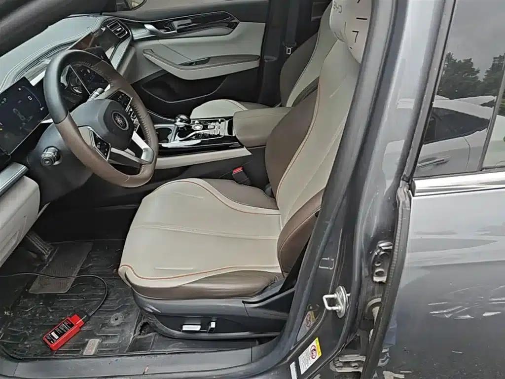 Qin PLUS 2023 Champion Edition DM-i 55KM Super Model — миниатюра 15