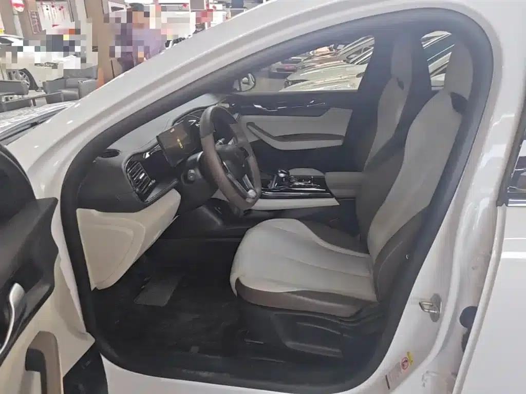 Qin PLUS 2023 Champion Edition DM-i 55KM Leading Model — миниатюра 16