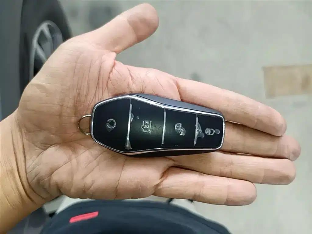 Qin PLUS 2024 Glory Edition DM-i 55KM Leading Model — миниатюра 9