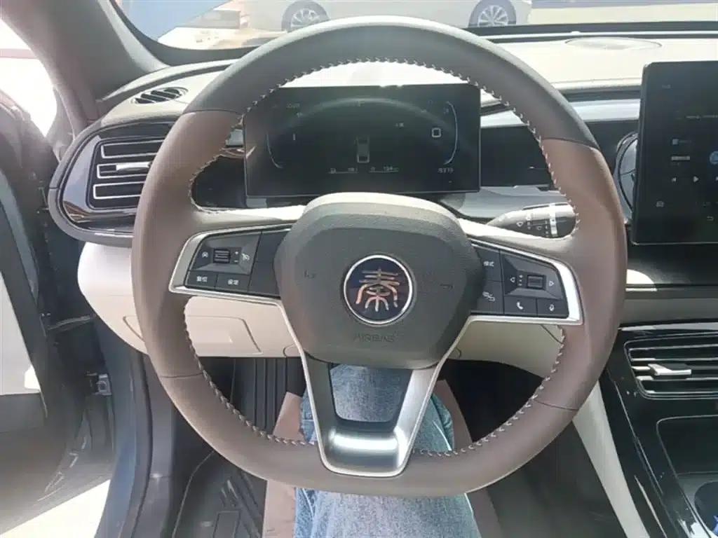 Qin PLUS 2024 Glory Edition DM-i 55KM Leading Model — миниатюра 11