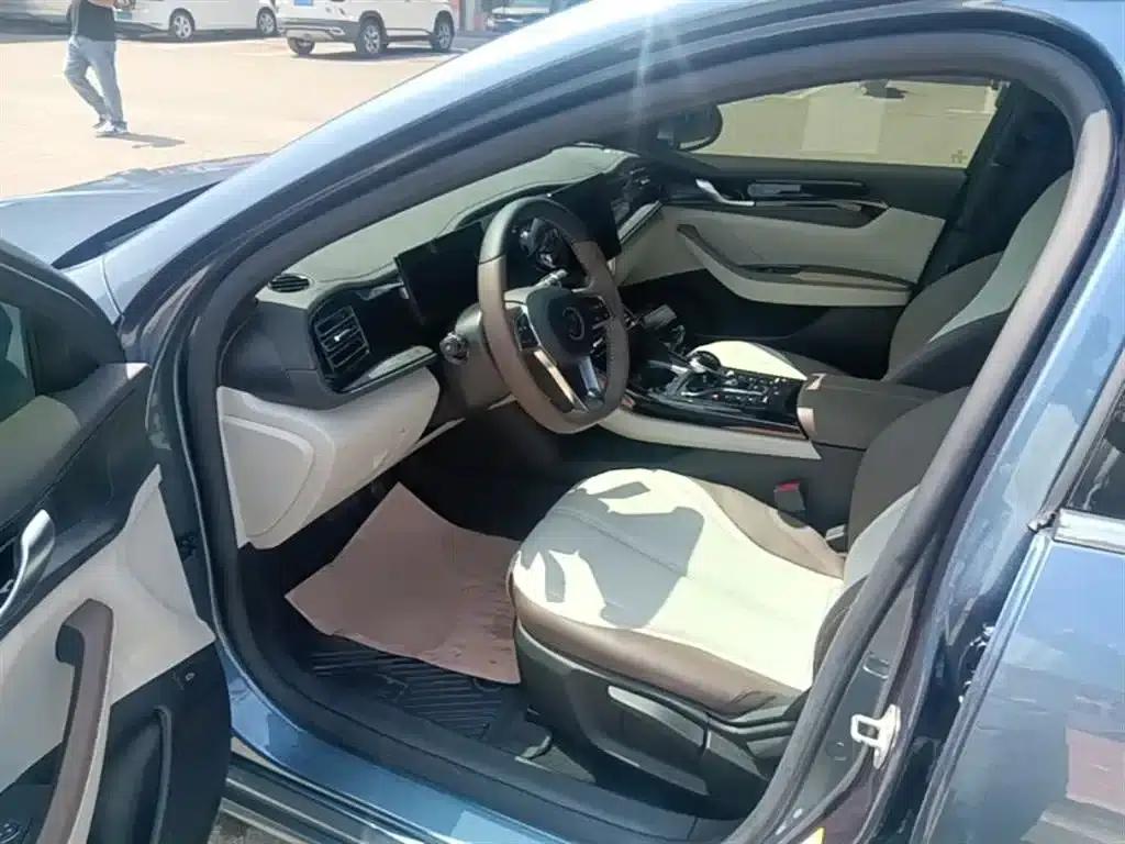 Qin PLUS 2024 Glory Edition DM-i 55KM Leading Model — миниатюра 15