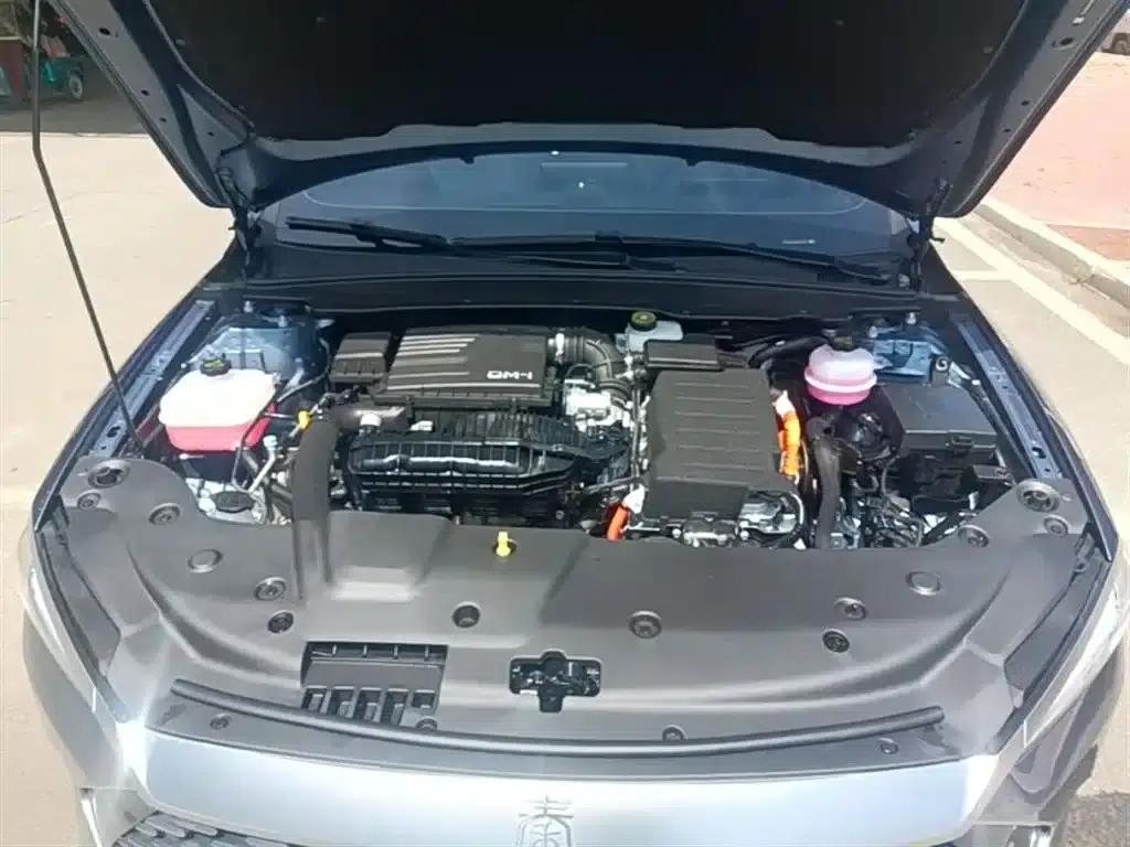 Qin PLUS 2024 Glory Edition DM-i 55KM Leading Model — миниатюра 20