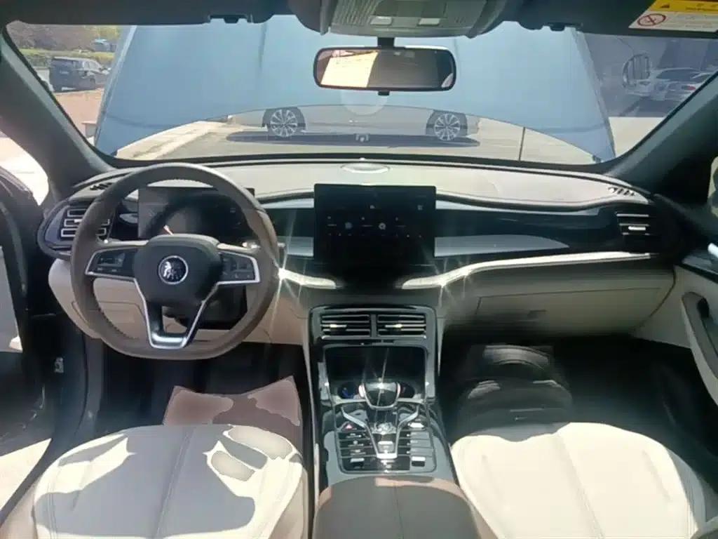 Qin PLUS 2024 Glory Edition DM-i 55KM Leading Model — миниатюра 10