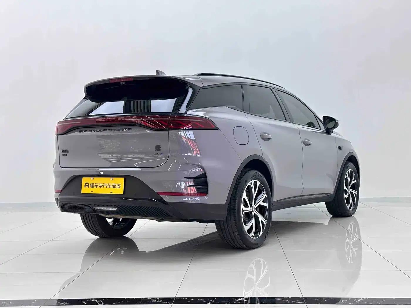 Tang New Energy 2025 DM-i 115KM Flagship Edition — миниатюра 4