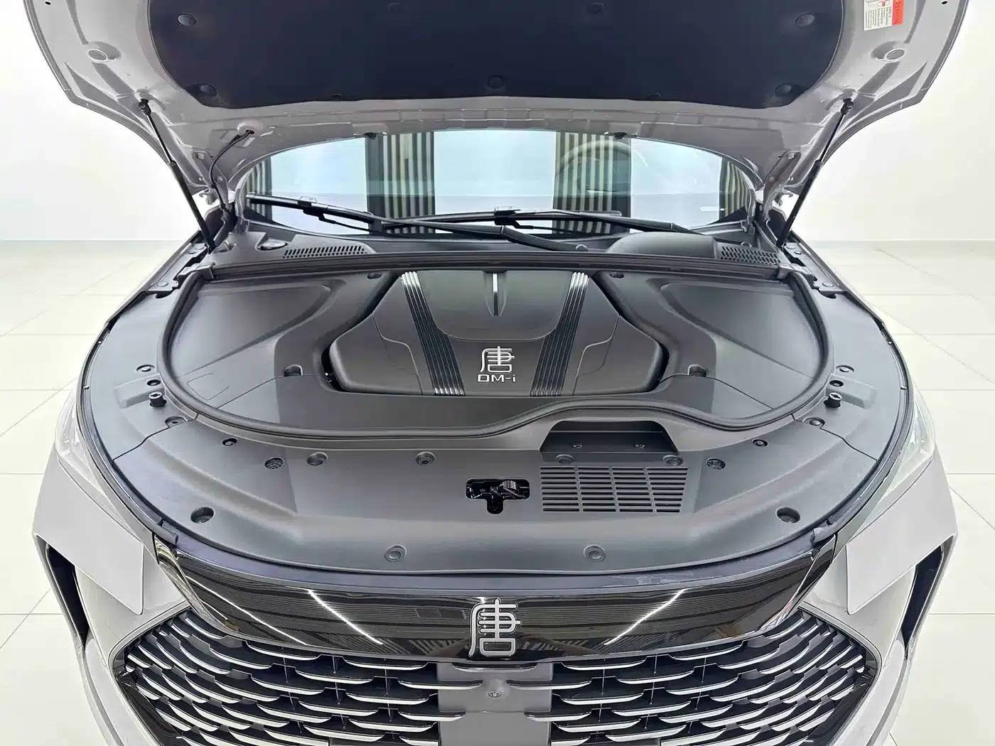 Tang New Energy 2025 DM-i 115KM Flagship Edition — миниатюра 8