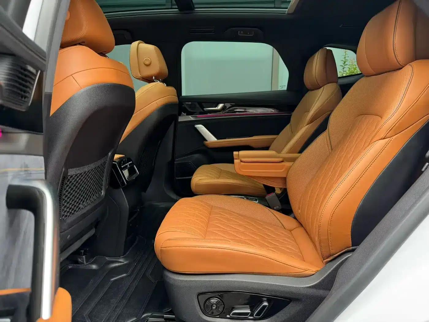 Tang New Energy 2022 EV 730KM Premium Edition — миниатюра 6
