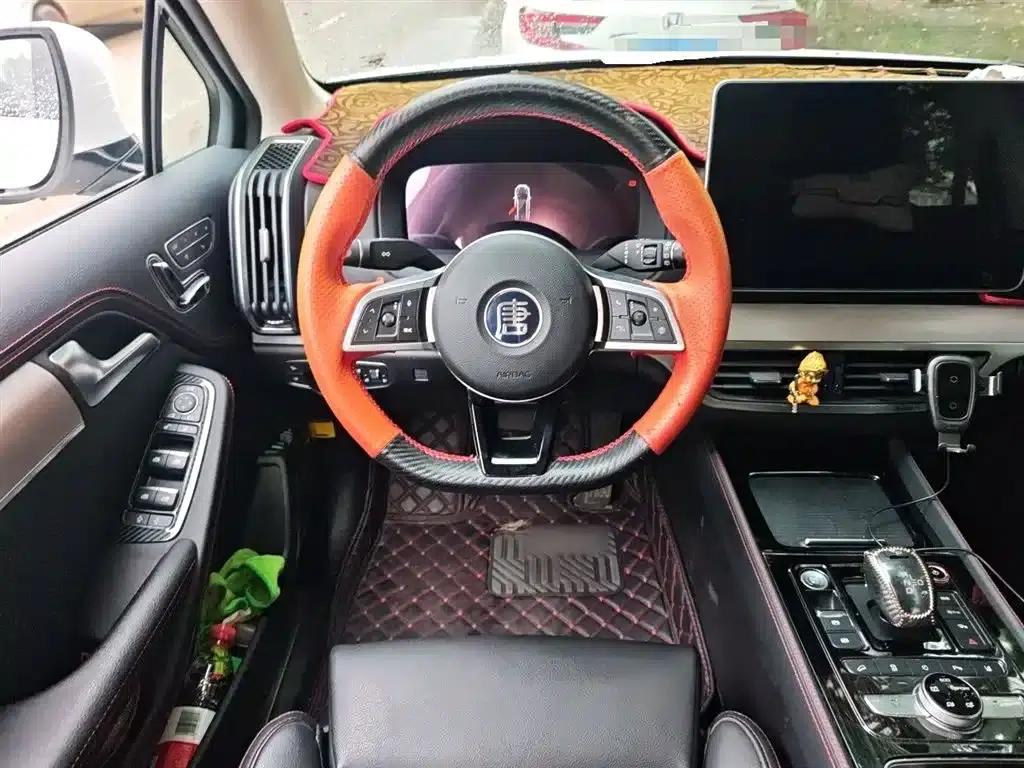 Tang New Energy 2018 DM 2.0T All-Wheel Drive Intelligent Leading Edition 7-Seater National V Emission Standard — миниатюра 7