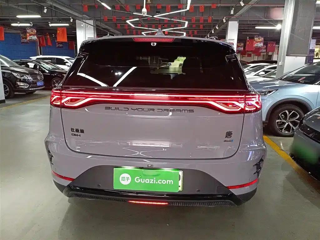 Tang New Energy 2025 DM-i 115KM Flagship Edition — миниатюра 6