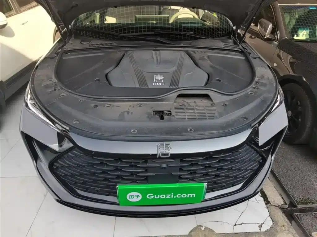 Tang New Energy 2025 Smart Driving Edition DM-i 115KM Flagship Model — миниатюра 20