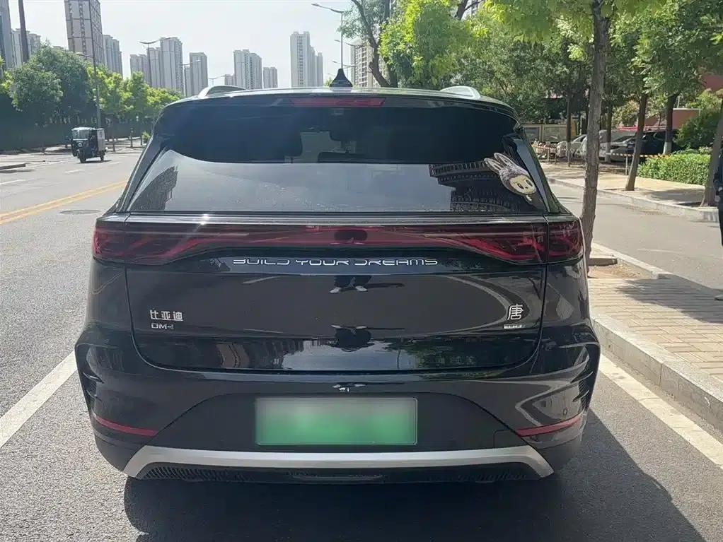 Tang New Energy 2025 Smart Driving Edition DM-i 115KM Premium Model — миниатюра 10